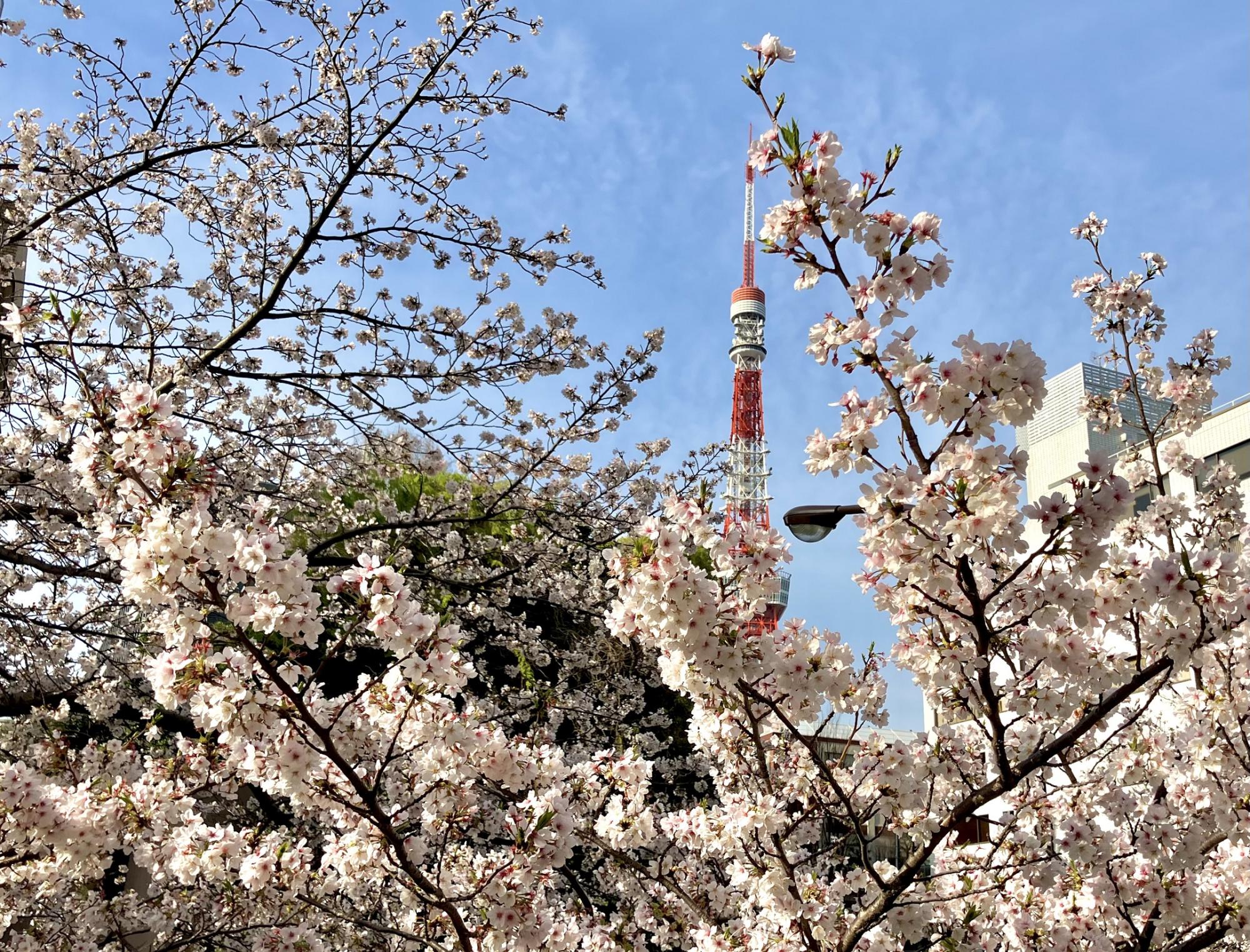 2025年度入社式✿