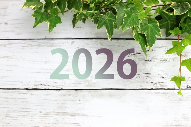 ✧🎍2026年🎍✧